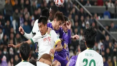 河南外援多拉多一年禁赛罚金20万处罚公布