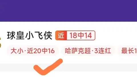 2026赛季亮点解析PP电子真人：6胜4平2负，挑战者的突破之路