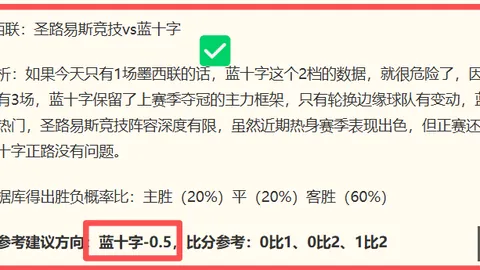 2026年河内水牛夺冠战PP电子真人：14胜仅用2天，8天12战绩让位